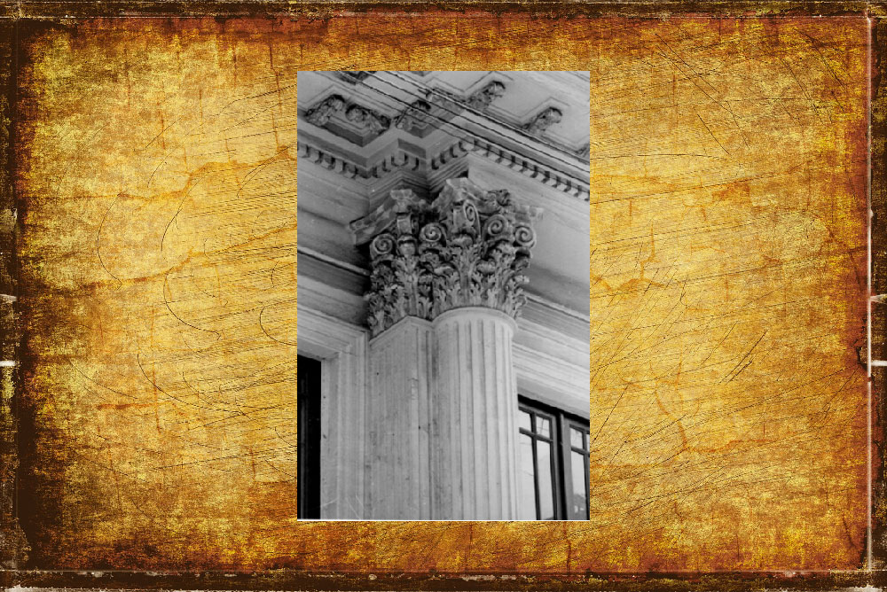 casa-elias-moscoso-10